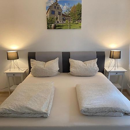 Ferienwohnung Stiegel Ingelheim am Rhein Εξωτερικό φωτογραφία